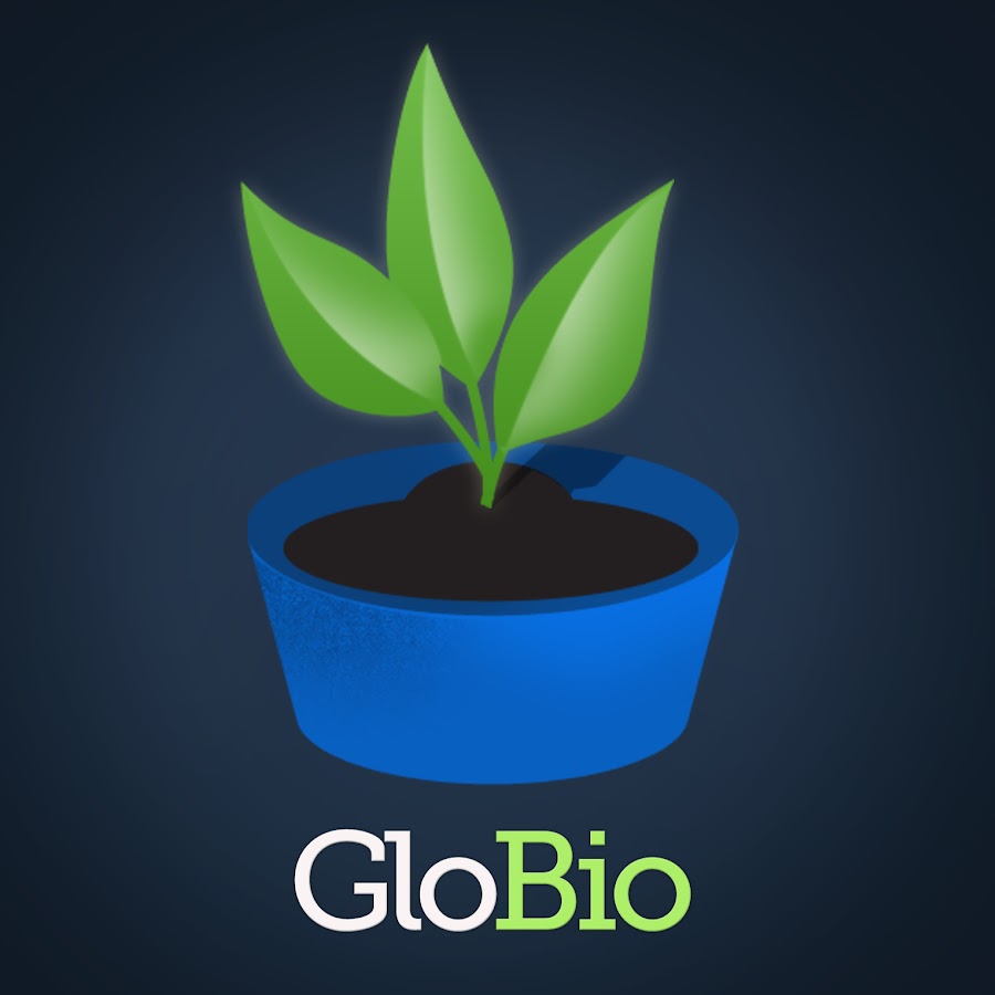 ê¸€ë¡œë°”ì´ì˜¤(GLOBIO) ইউটিউব চ্যানেল অ্যাভাটার