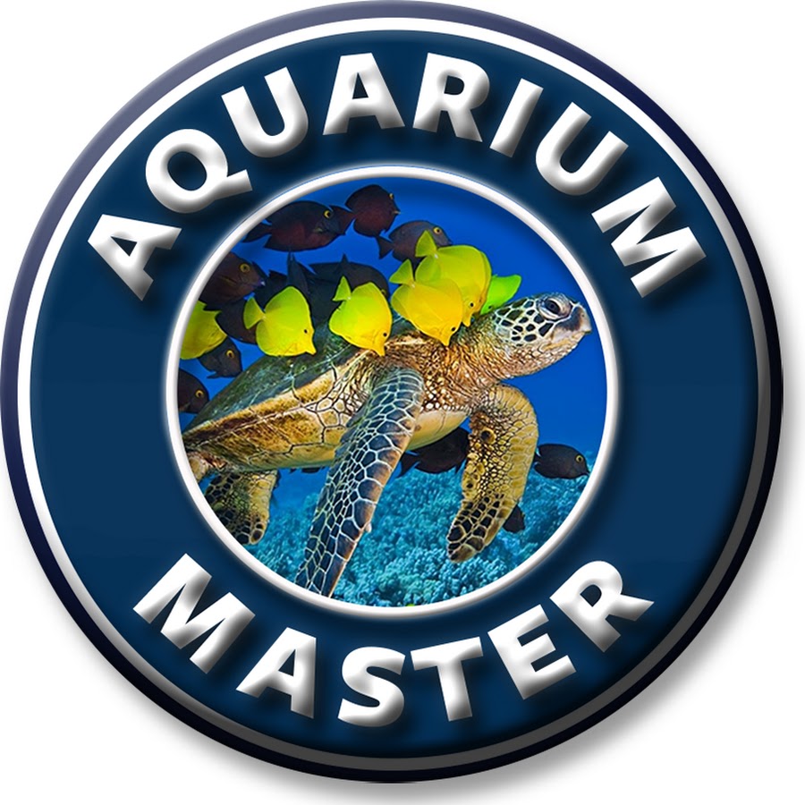 Aquarium Master ইউটিউব চ্যানেল অ্যাভাটার