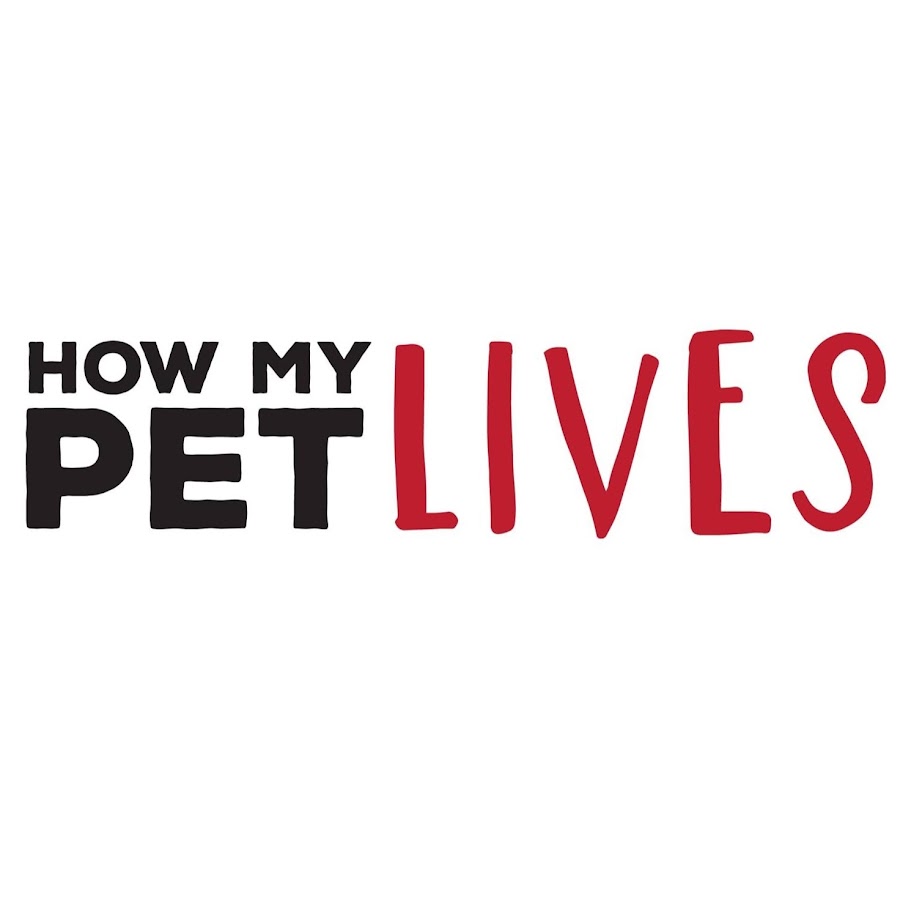How My Pet Lives