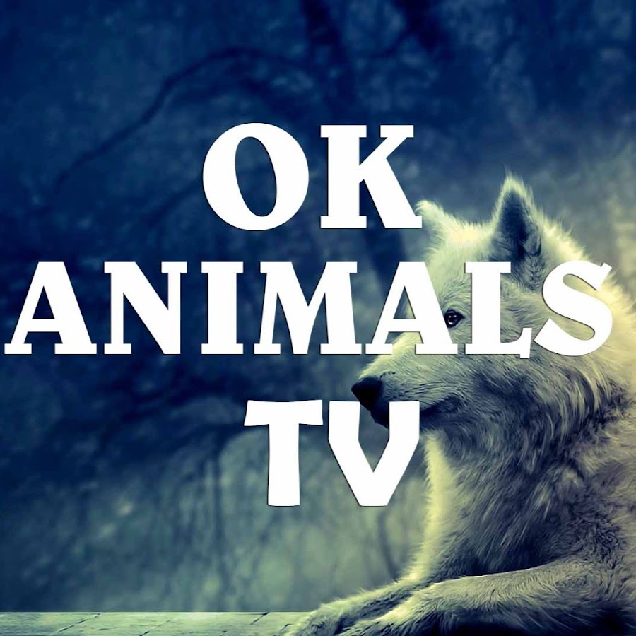 Ok Animals TV Avatar de chaîne YouTube