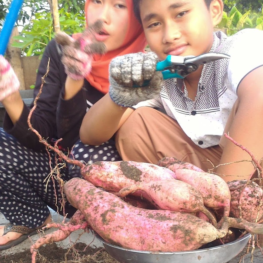 The Young Aceh Farmers