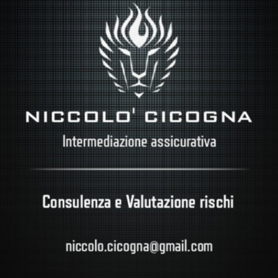 Niccolo Cicogna YouTube channel avatar