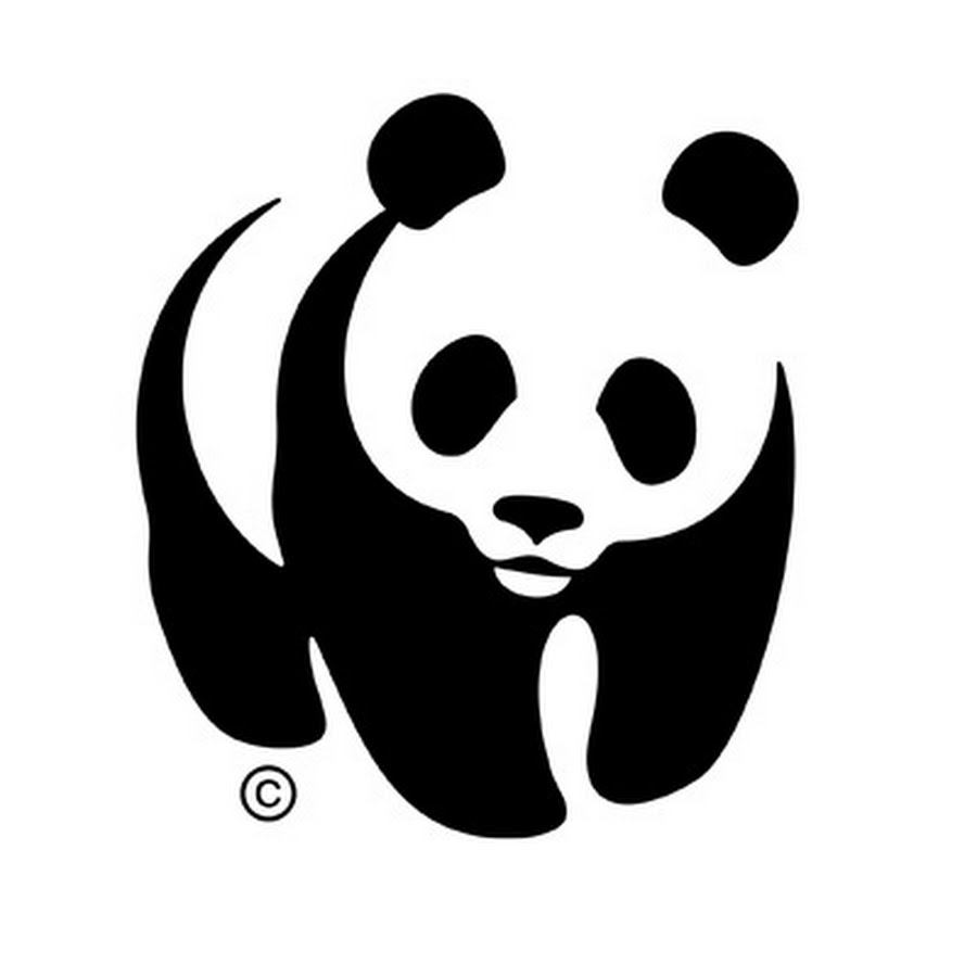 WWF Deutschland YouTube channel avatar