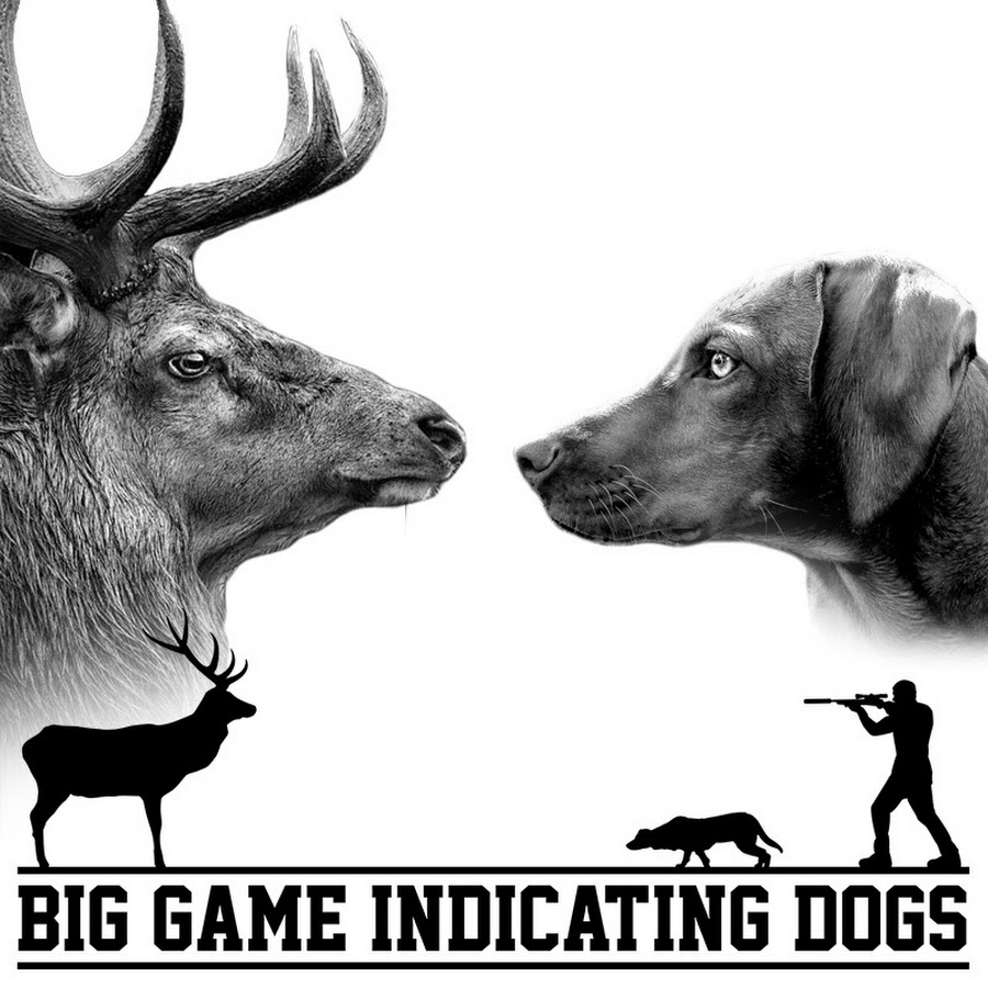 Big Game Indicating Dogs