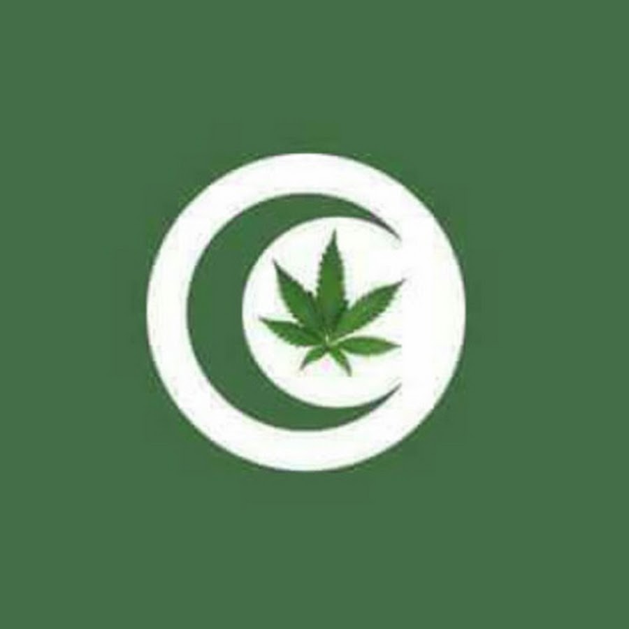 weed Tounsi YouTube channel avatar