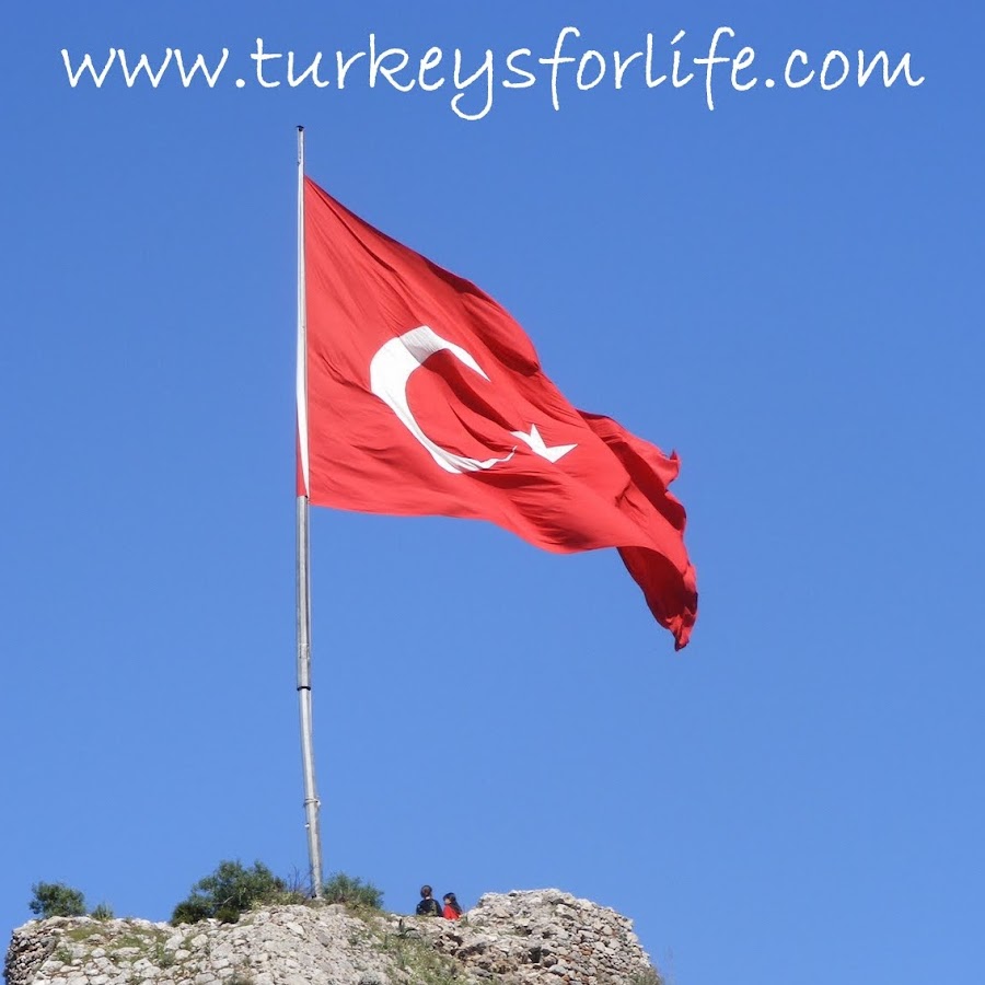 Turkey's For Life YouTube kanalı avatarı