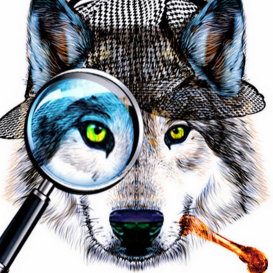 Detective Dog YouTube channel avatar