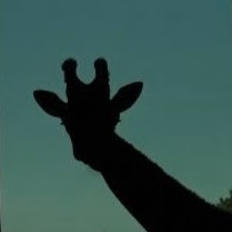 [最も選択された] マシンガンスネーク 333535-マシンガンスネーク