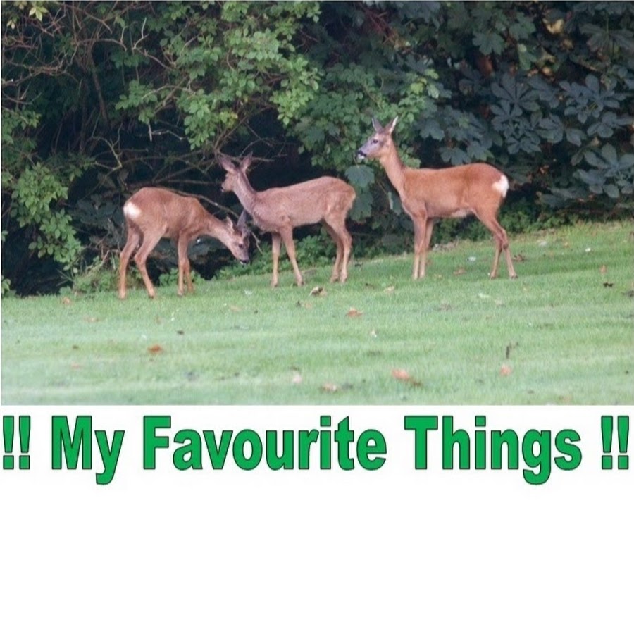 !! My Favourite Things !!