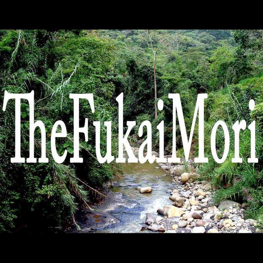 TheFukaiMori YouTube channel avatar