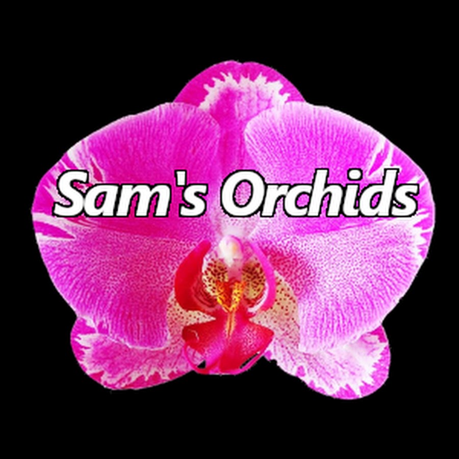 Sam S Orchids Youtube