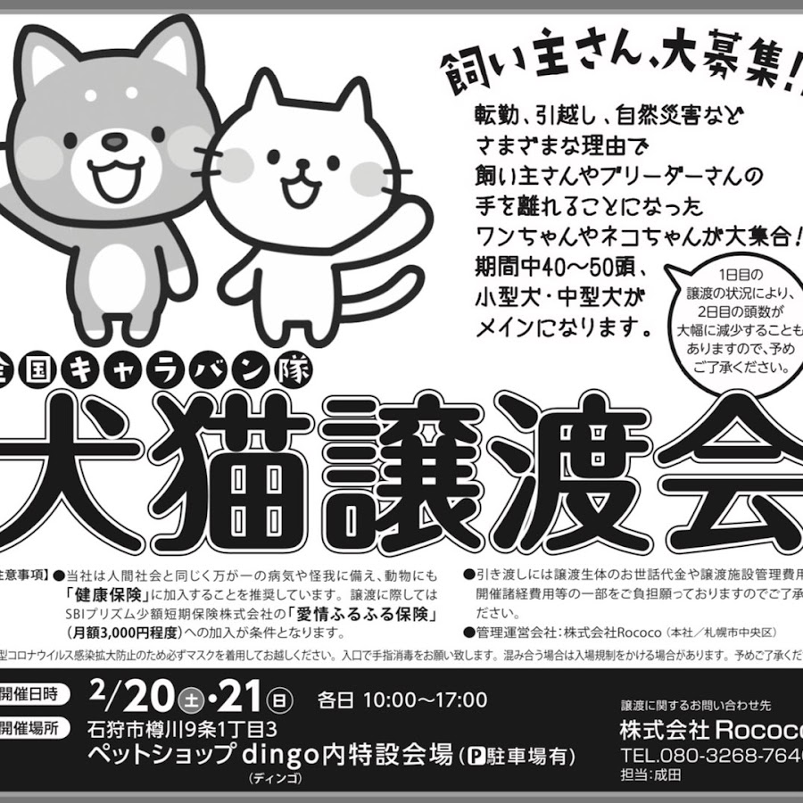 北海道犬猫譲渡会 Youtube