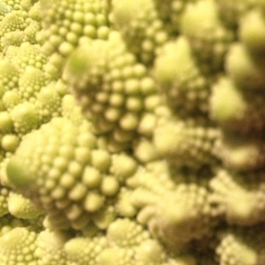 加藤十吾 Youtube