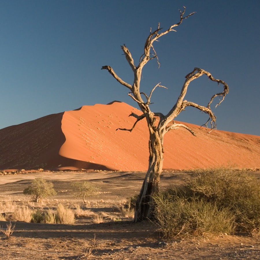 A Voice In The Desert यूट्यूब चैनल अवतार