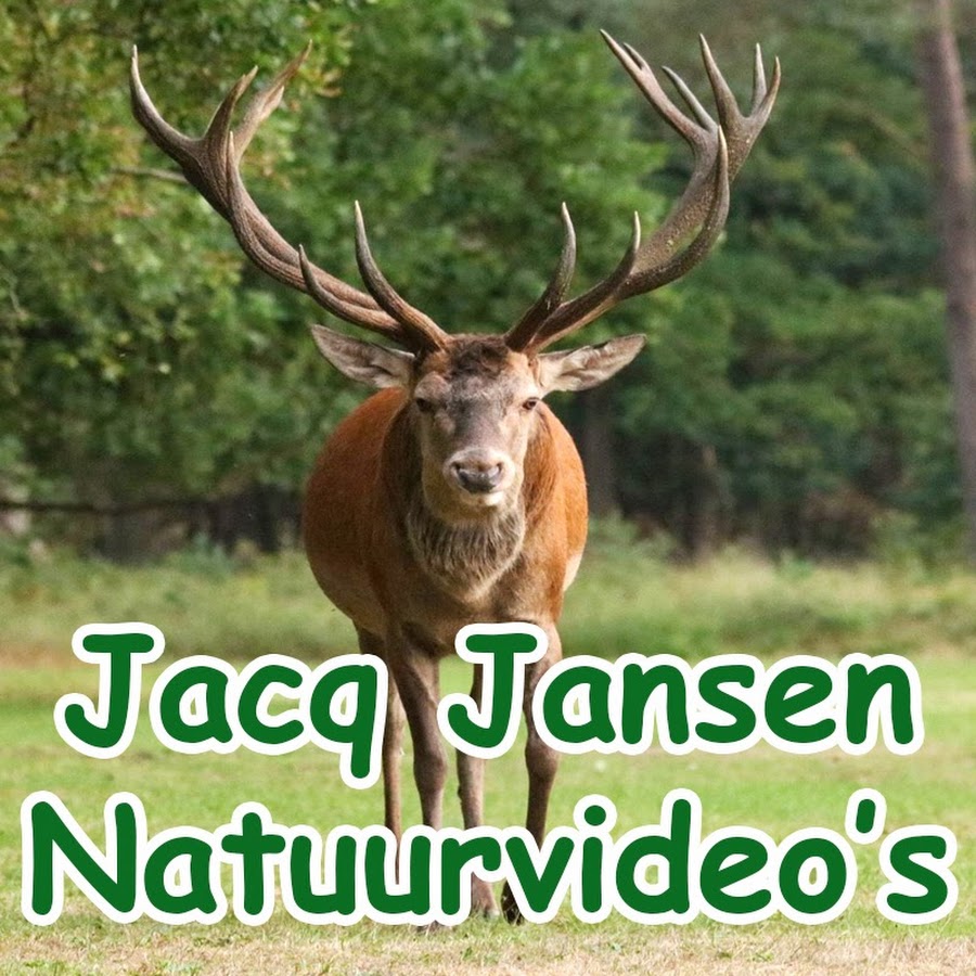 Jacq Jansen