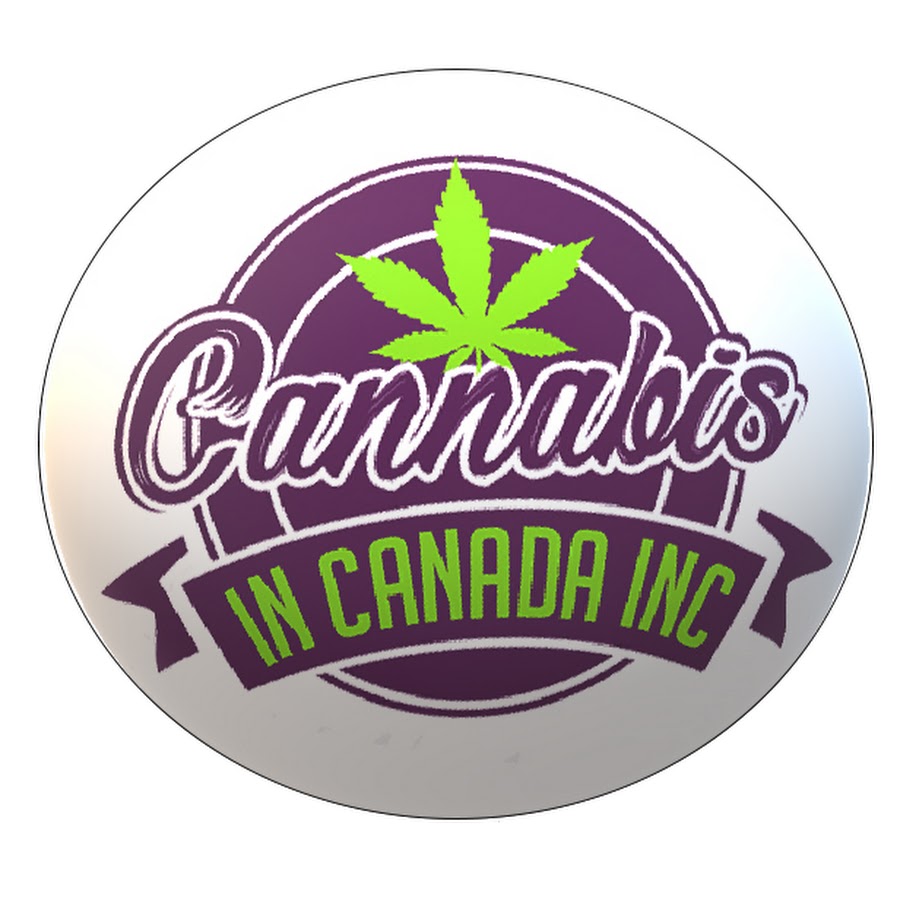 Cannabis in Canada YouTube channel avatar