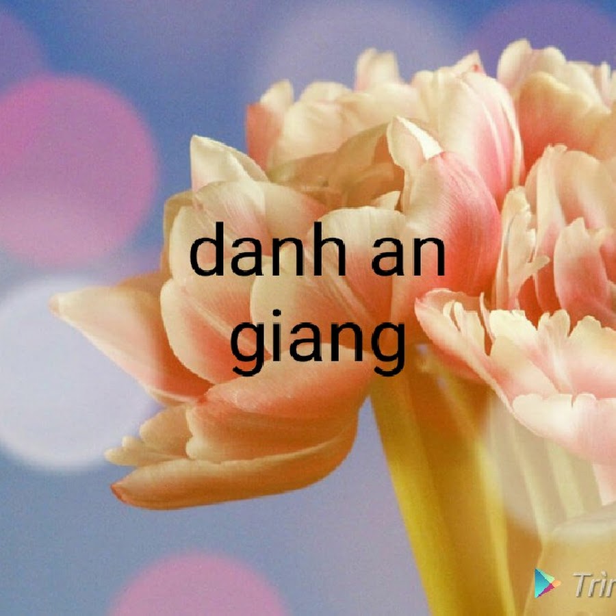 Danh an giang YouTube channel avatar