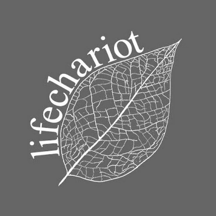 lifechariot YouTube channel avatar