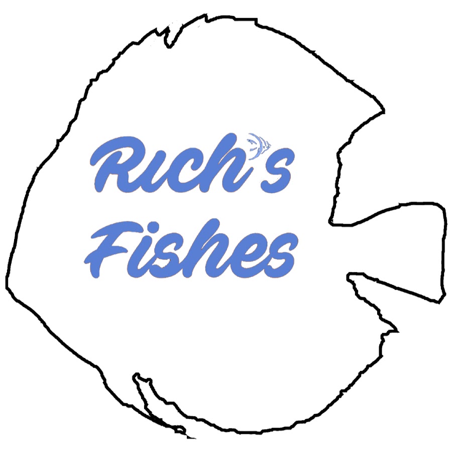Rich's Fishes ইউটিউব চ্যানেল অ্যাভাটার