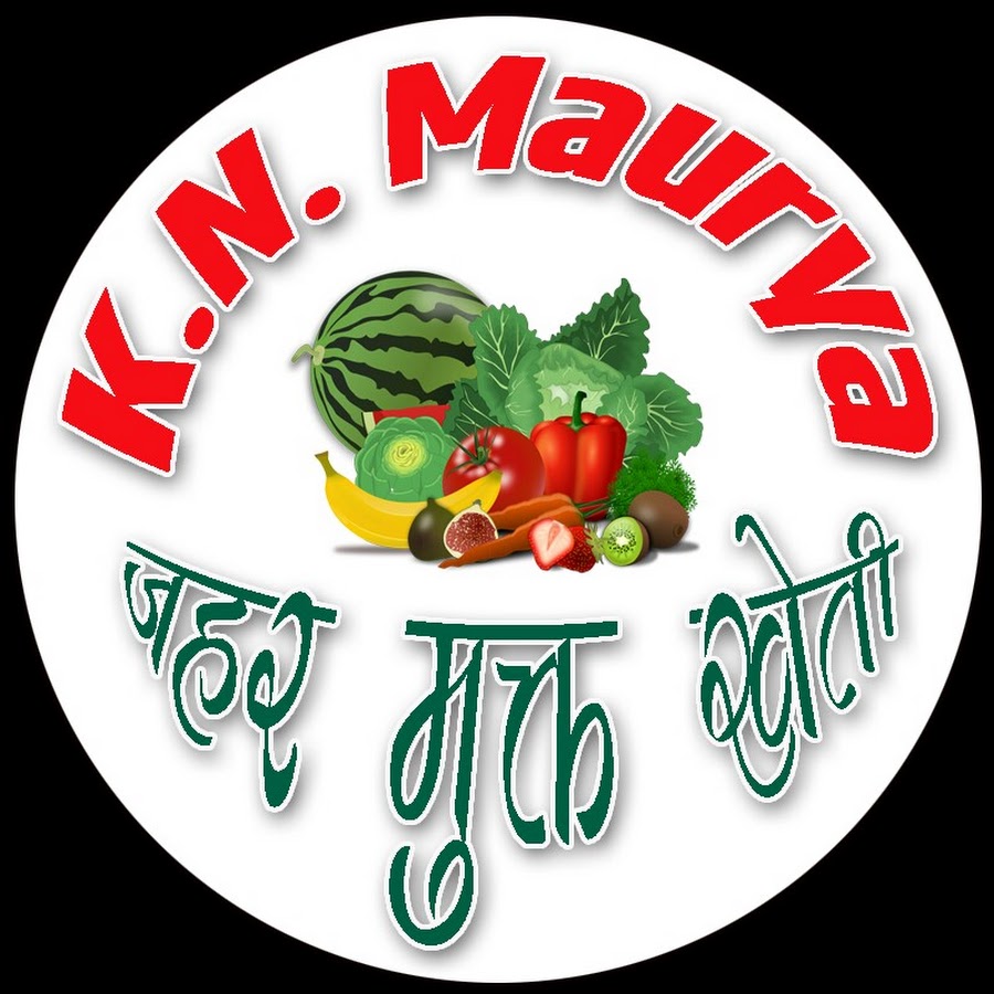 KN MAURYA YouTube kanalı avatarı