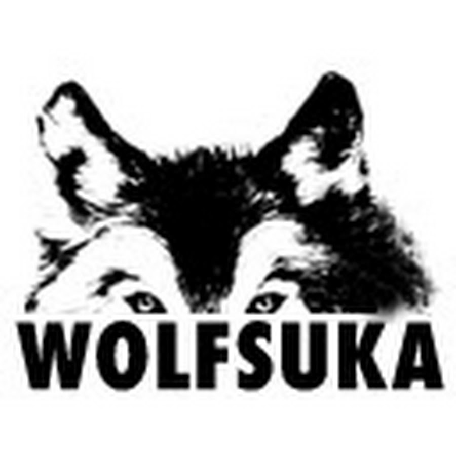 Wolfsuka: Book Summaries YouTube channel avatar