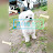콩이에 일상