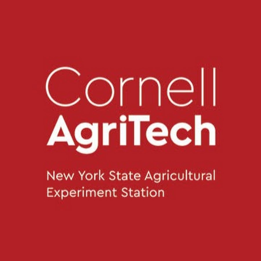Cornell AgriTech यूट्यूब चैनल अवतार