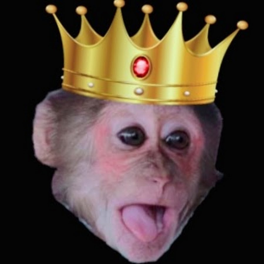 monkey Baby YoYo ইউটিউব চ্যানেল অ্যাভাটার
