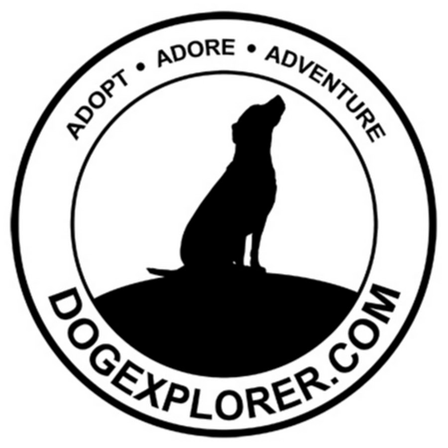 DogExplorer.com यूट्यूब चैनल अवतार
