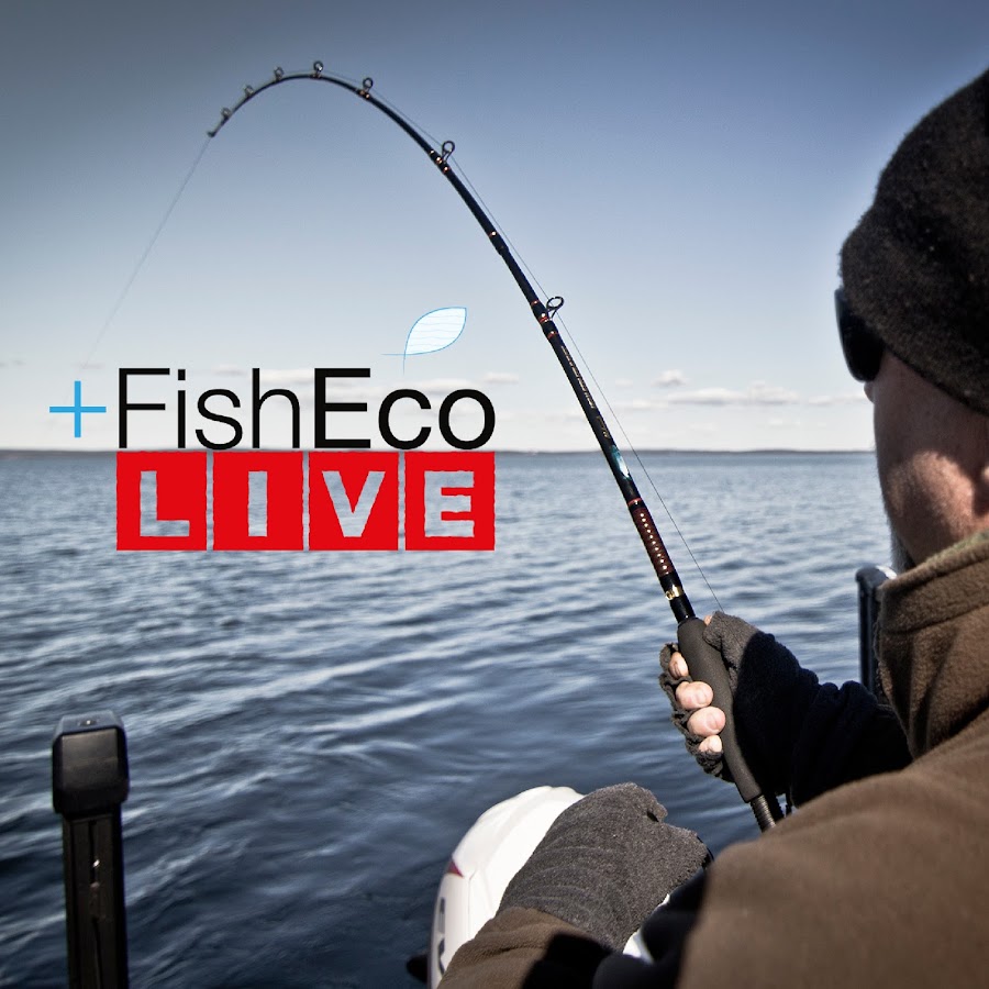 SportfiskeTV FishEco Avatar canale YouTube 