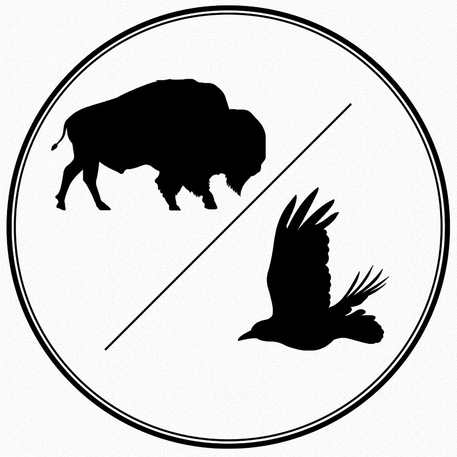 The Bison and The Bird رمز قناة اليوتيوب