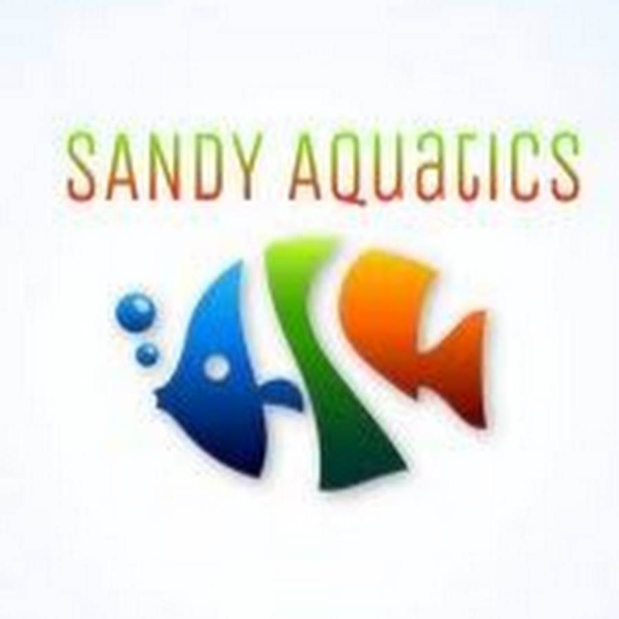 sampath sandy pets& aquarium hobbyist Аватар канала YouTube