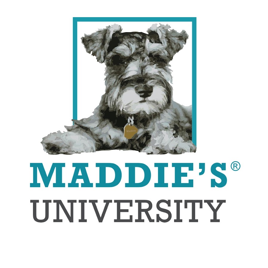 Maddie's Fund Education
