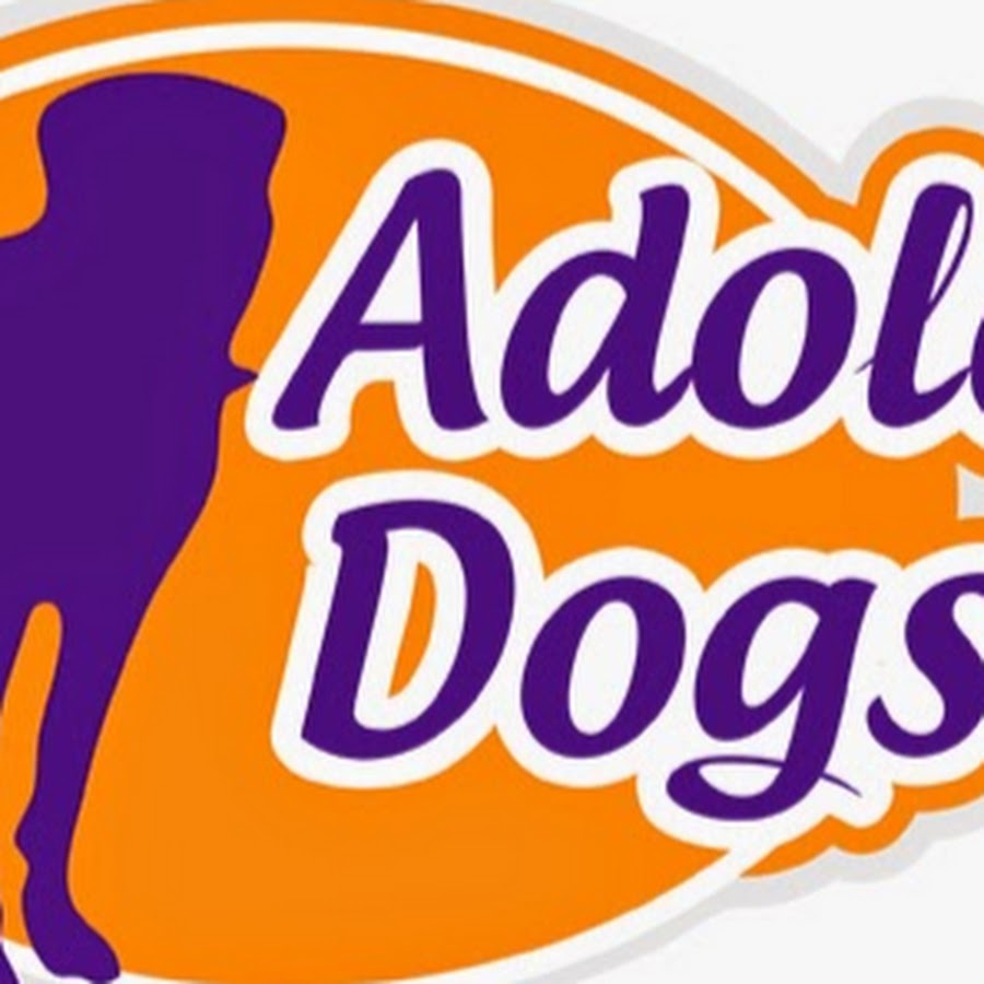 Adolescent Dogs TV YouTube kanalı avatarı