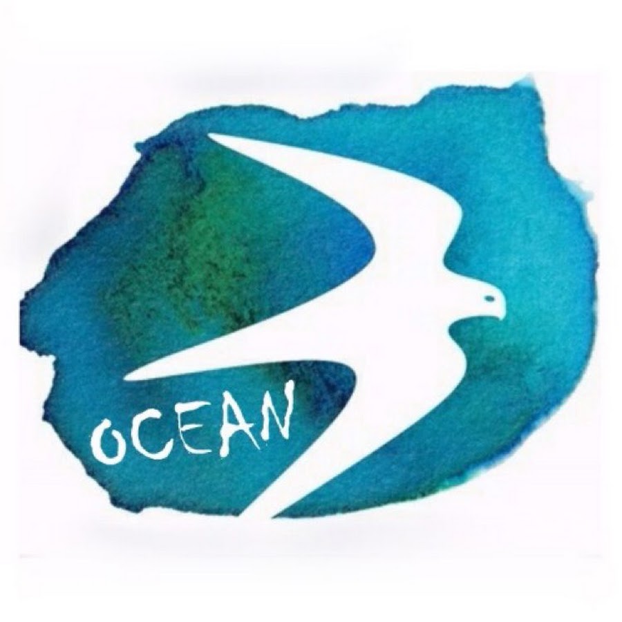 Ø£ÙˆØ´Ù† - ocean birds YouTube channel avatar