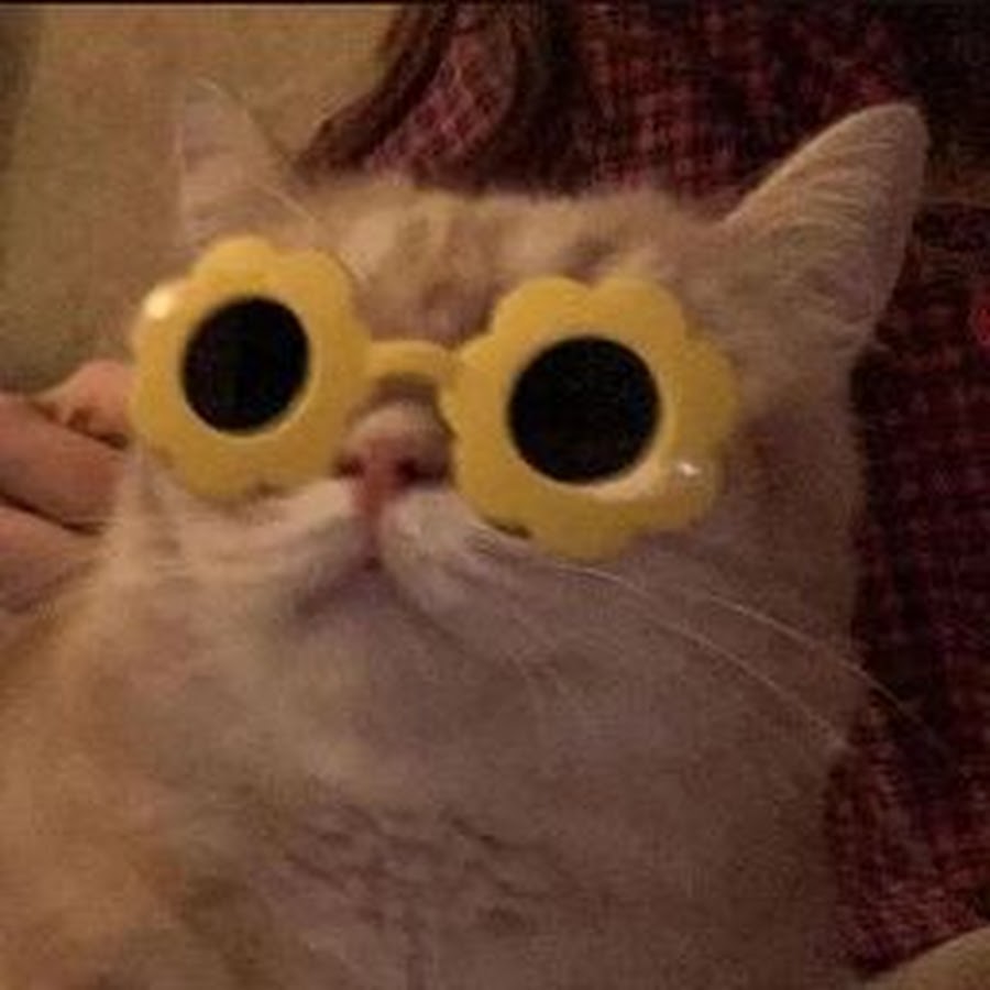 動きたくない点p Youtube