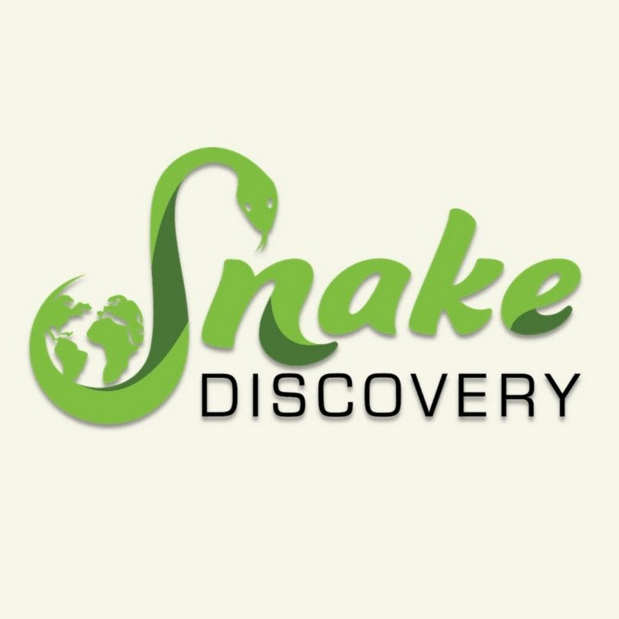 Snake Discovery YouTube 频道头像