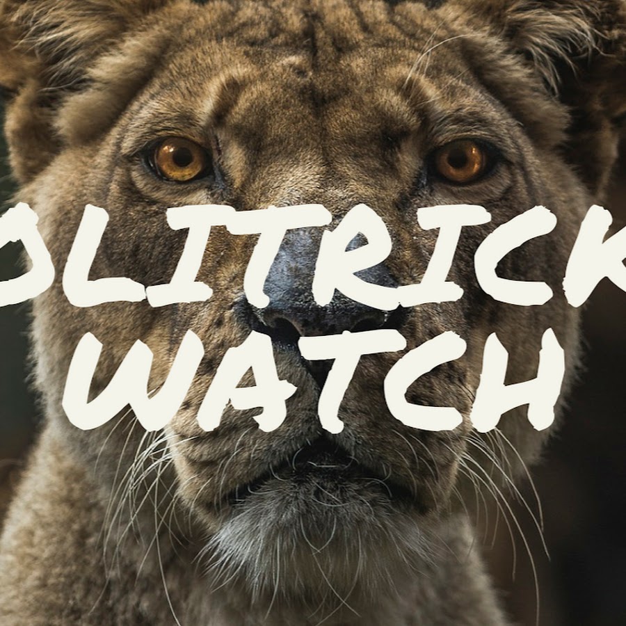Politricks Watch Avatar canale YouTube 