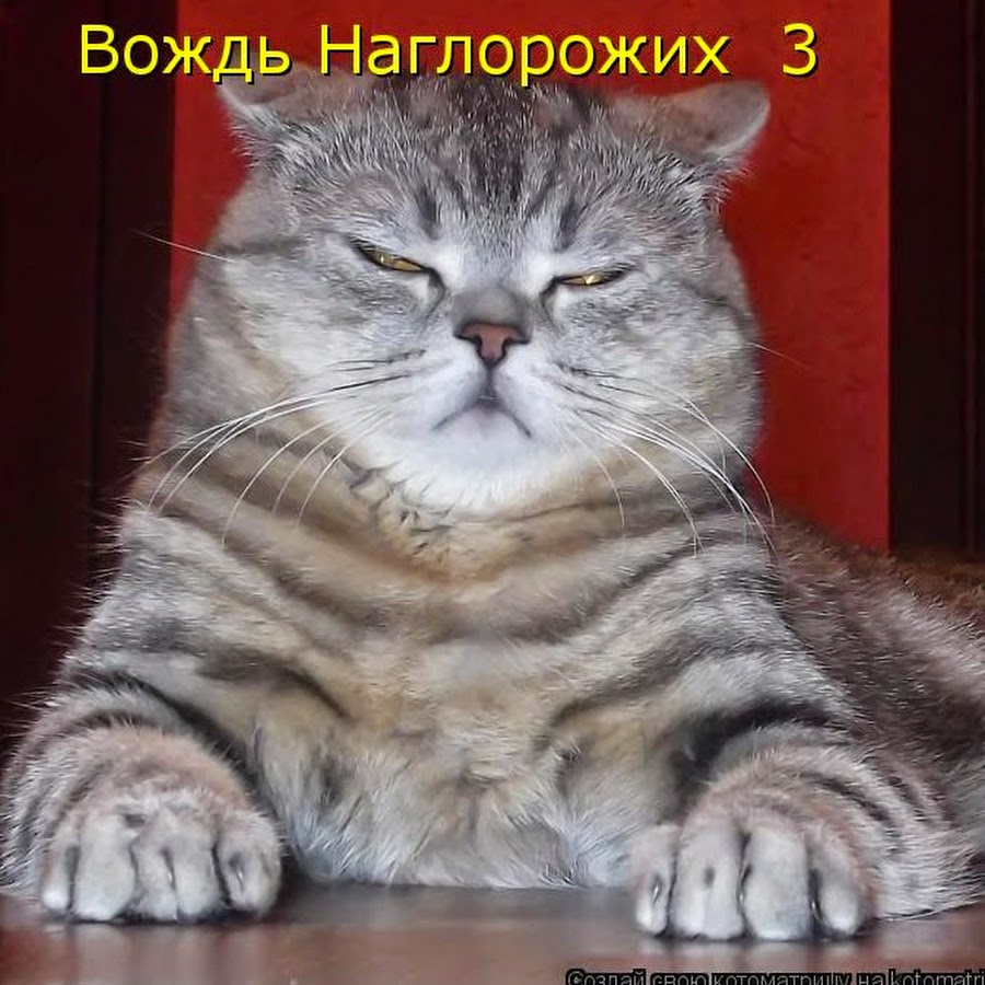 AAUvwnhQNscnp-s3OhrKzqu28wlPnCsWk4sNd8n486rd=s900-c-k-c0x00ffffff-no-rj