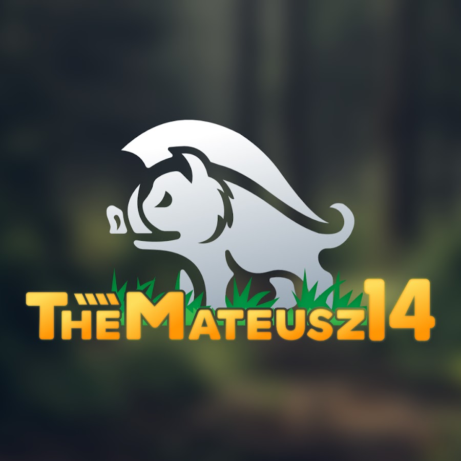 TheMateusz 14 YouTube-Kanal-Avatar
