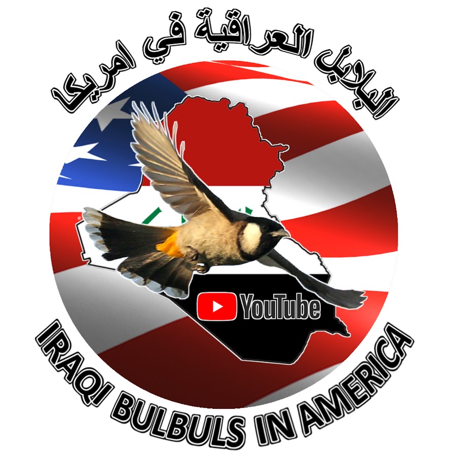 White Cheeked Bulbul Ø§Ù„Ø¨Ù„Ø§Ø¨Ù„ Ø§Ø¨ÙŠØ¶ Ø§Ù„Ø®Ø¯ÙŠÙ† Ø§Ù„Ø¹Ø±Ø§Ù‚ÙŠÙ‡ Avatar del canal de YouTube