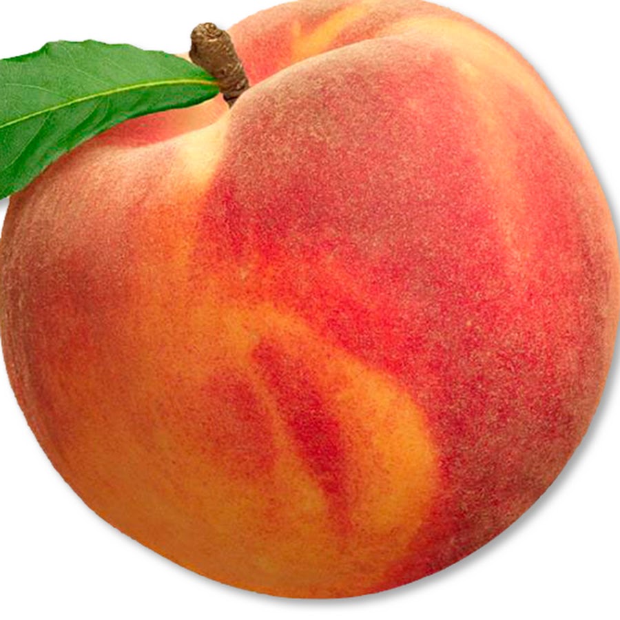 Peach Daily رمز قناة اليوتيوب