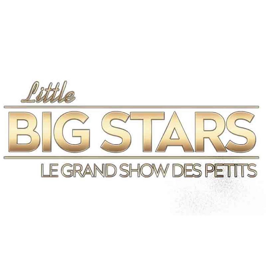 Little Big Stars FR YouTube channel avatar