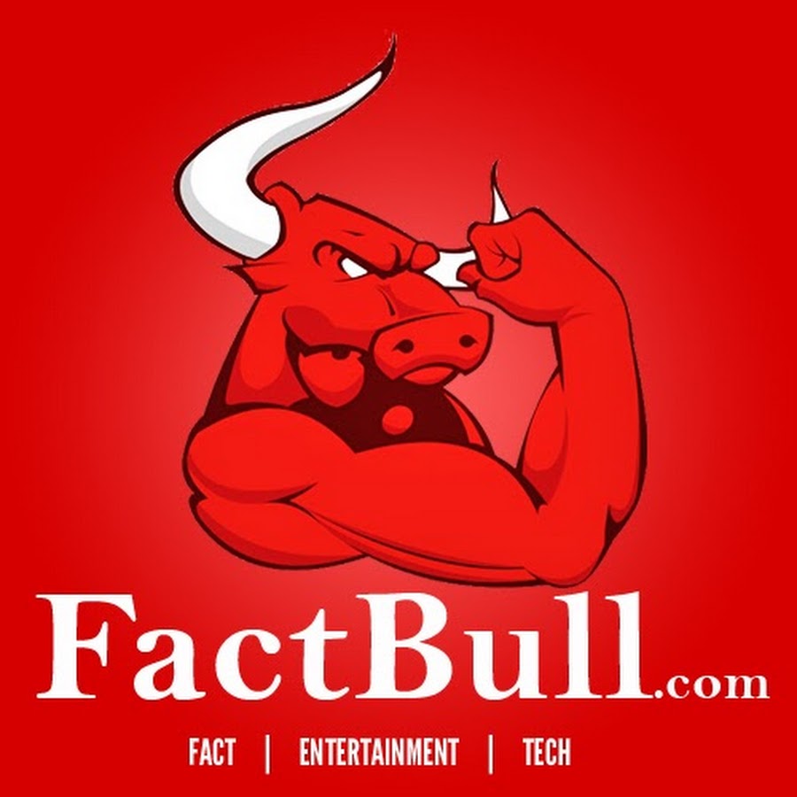 Fact Bull YouTube channel avatar