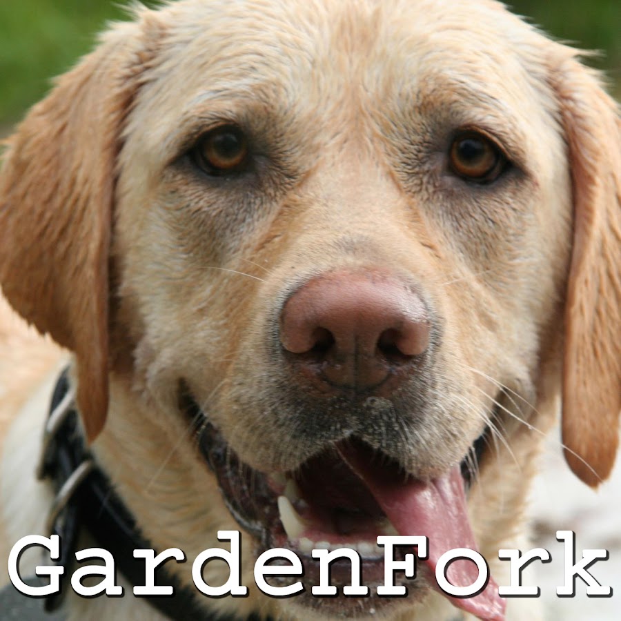 GardenFork رمز قناة اليوتيوب
