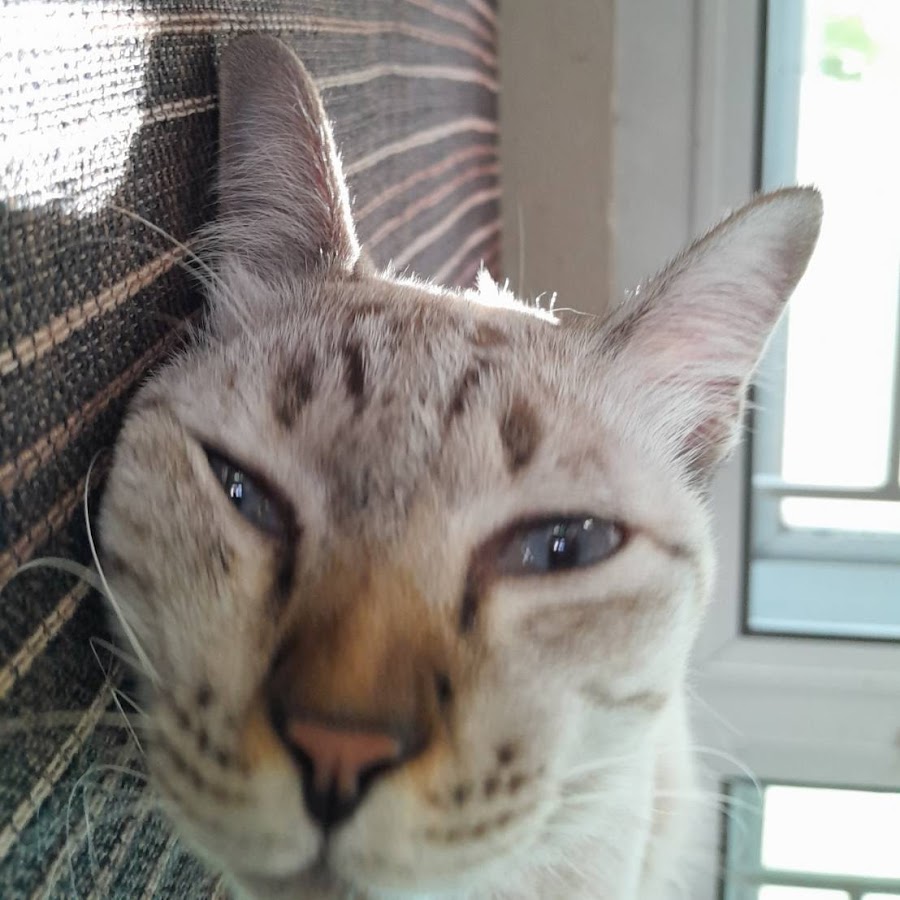 I Don T Wanna Be Bread Ahhh Youtube