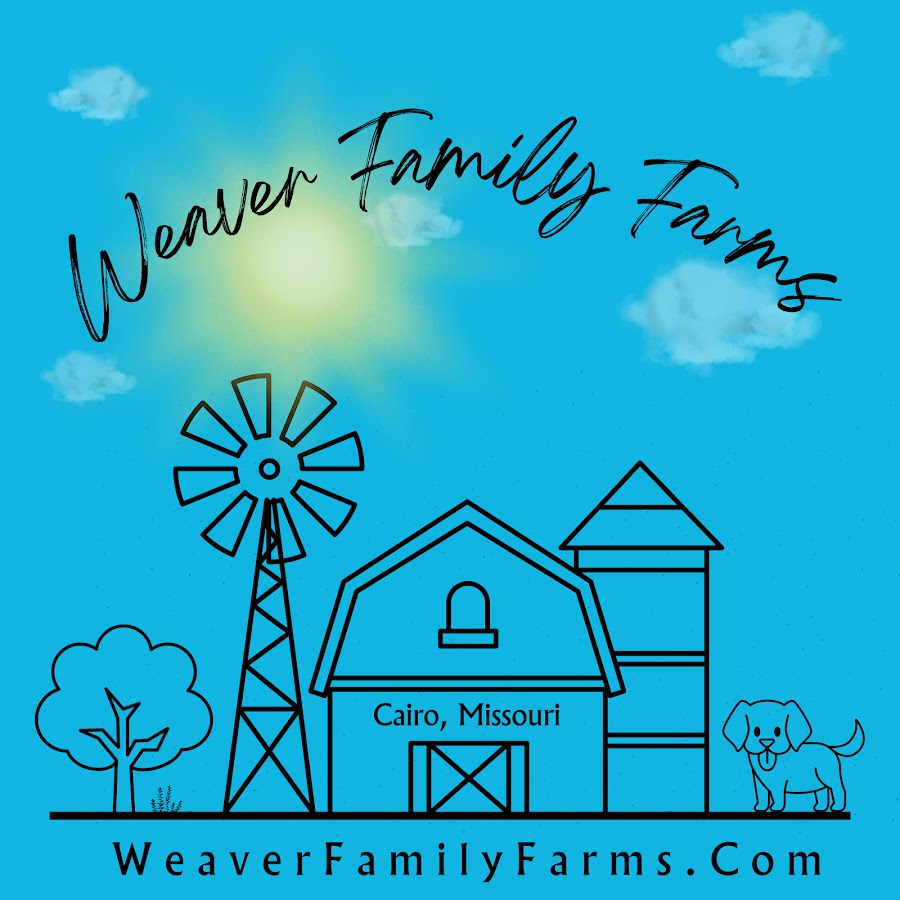 Weaver Family Farms YouTube channel avatar