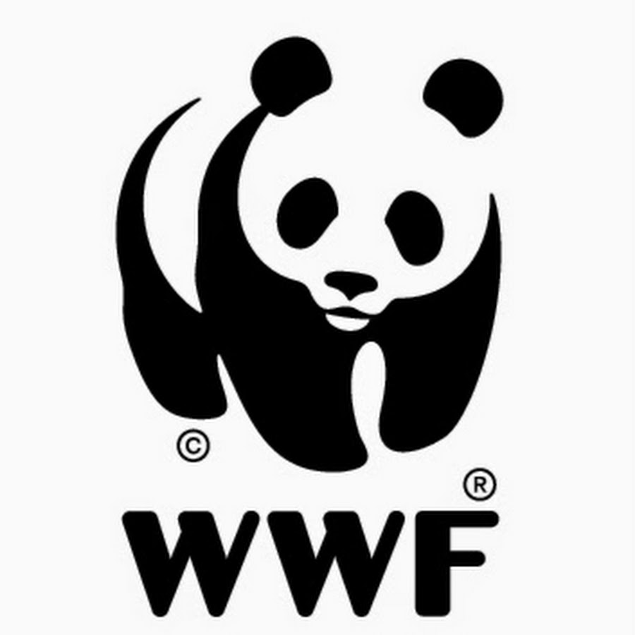 WWFMy Аватар канала YouTube