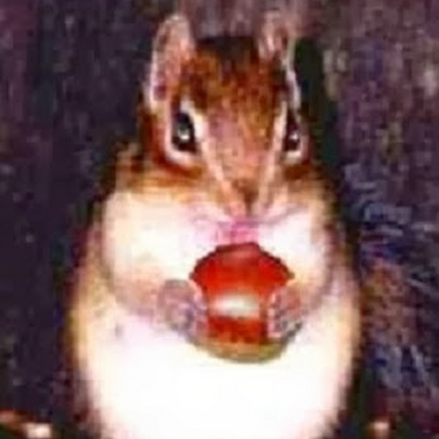 栗とリス Youtube