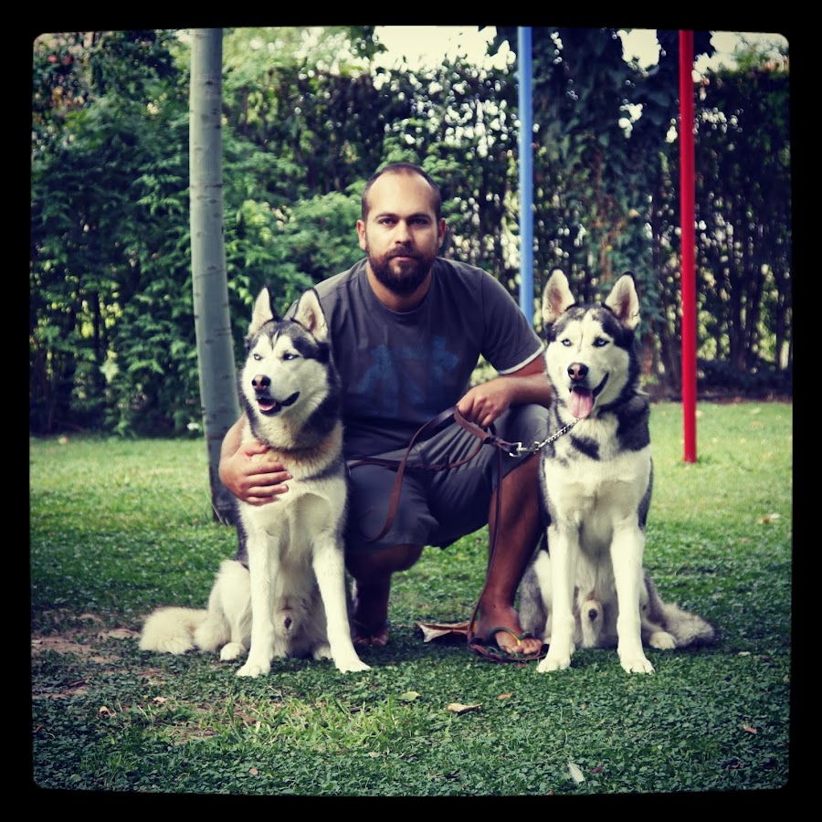 Dogschool Media, Dog Training & Equipment Avatar channel YouTube 